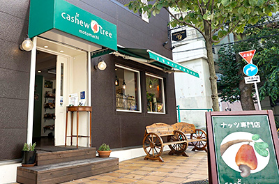 カシューツリーモトマチ外観