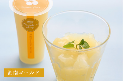 湘南ゴールド2021