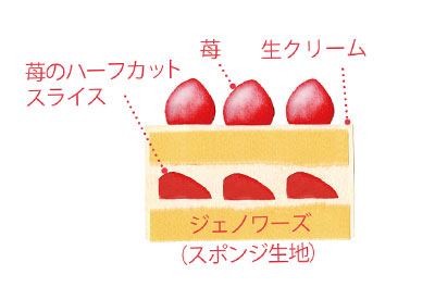 ホワイトノエル4号断面