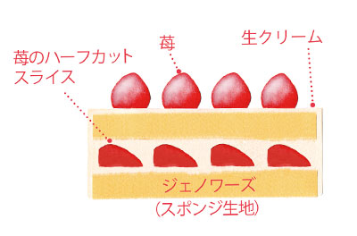 ホワイトノエル5号断面