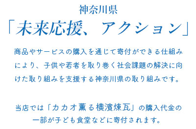 未来応援、アクション