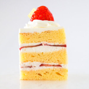 ショップ取扱フレザリア