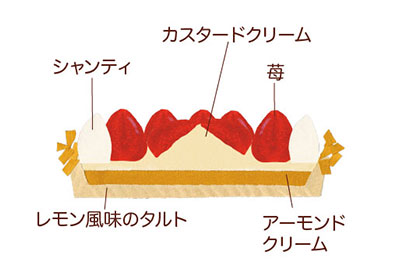 タルトフレーズ断面イラスト
